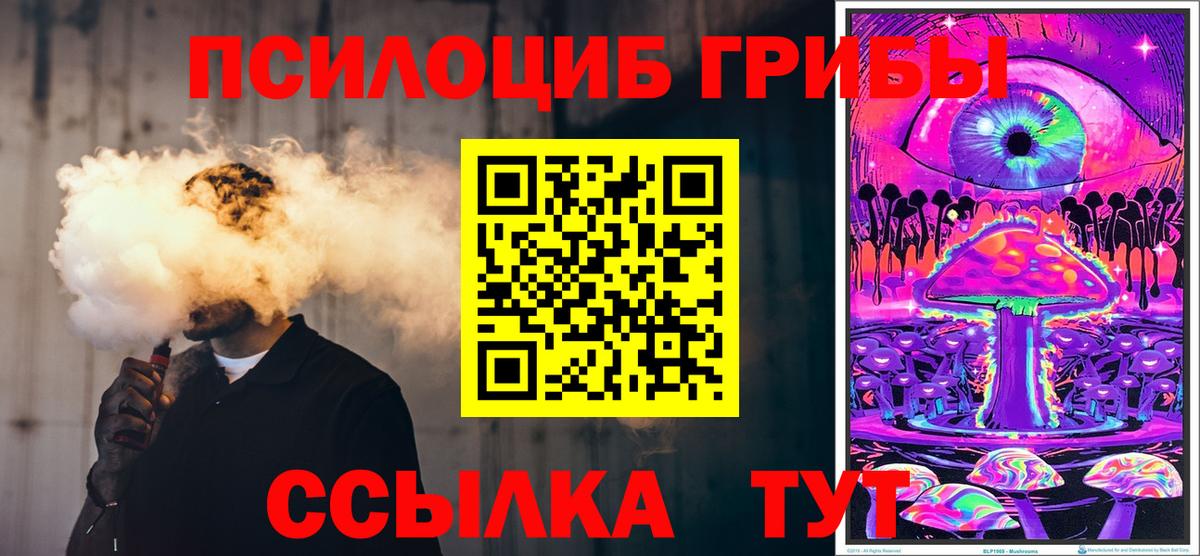 Волоколамск  Псилоцибиновые грибы мицелий  Вход с VPN 