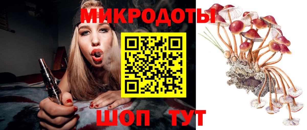 Псилоцибиновые грибы прущие грибы Волоколамск